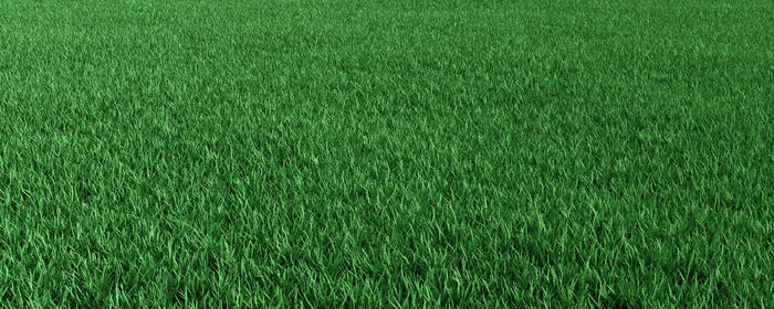 Full frame shot of green field