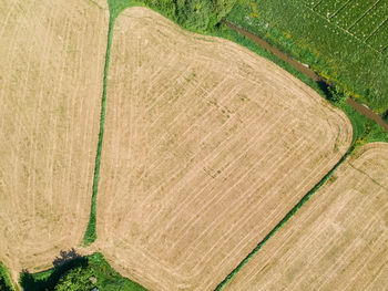 Scenic view of agricultural field