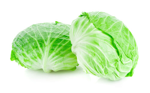 cabbage