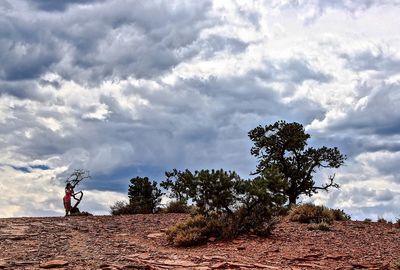 Man by tree against sky