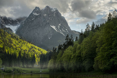 Scenic view of lake by trees against sky