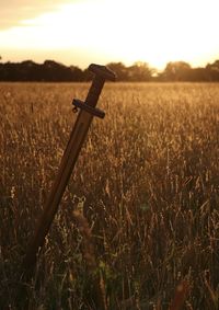 Scenic view of agricultural field with a sword against sky during sunset