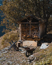 View of abandoned truck on field in forest