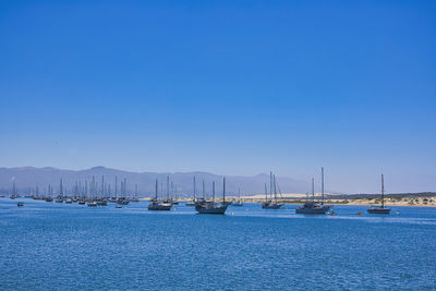 Boats in sea against clear blue sky
