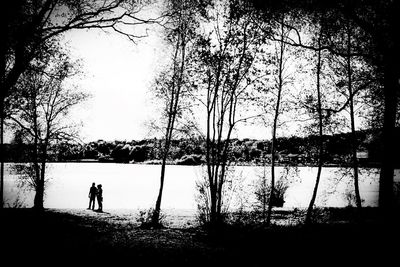 Silhouette of trees in water