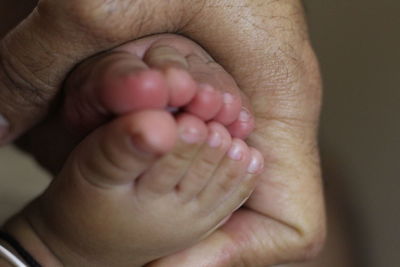 Close-up of baby hand