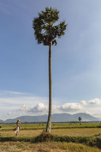 Man standing by palm tree on field against sky