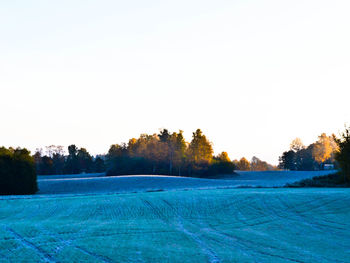 Scenic view of snow covered field