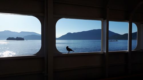 Bird perching on window in ferry at sea