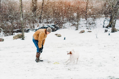 Rear view of dog on snow covered landscape