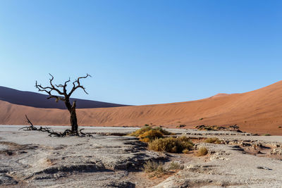 Scenic view of desert against clear blue sky