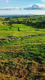 Malhamdale north yorkshire showing remains of ancient field system. pendle hill in lancashire.