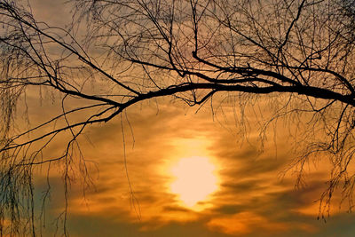 Silhouette bare tree against sky during sunset