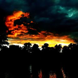 Silhouette trees in forest against sky during sunset