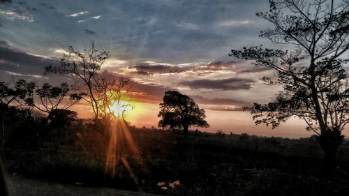 Silhouette trees against sky during sunset