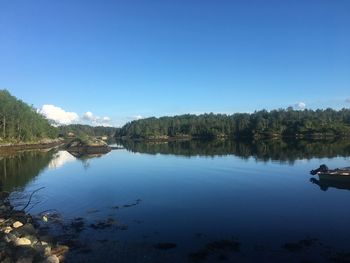 Scenic view of lake against clear blue sky