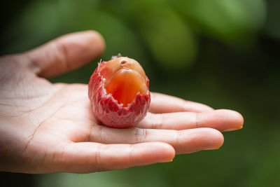 Close-up of hand holding strawberry