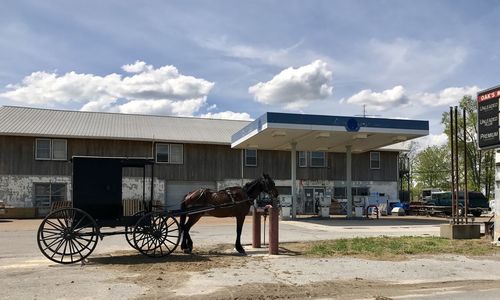 Horse cart