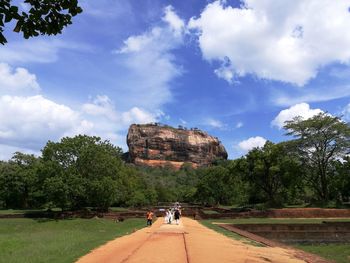 People walking on cobblestone street amidst trees against sky