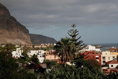 Trees and buildings in town against sky