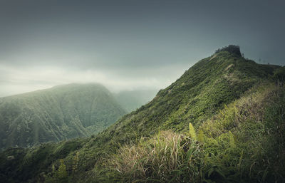 Beautiful view to the green hills in hawaii, oahu island. hiking mountains landscape 