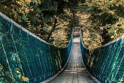 View of footbridge along trees