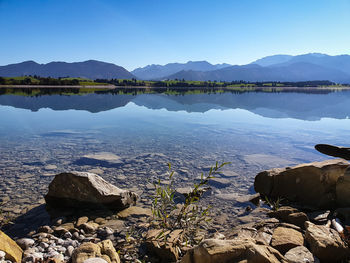 Scenic view of lake against clear sky