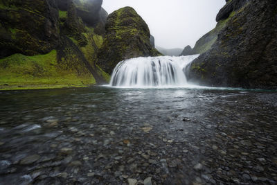 Scenic view of waterfall in forest