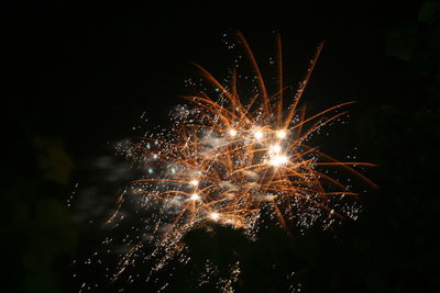 Low angle view of firework display against sky at night