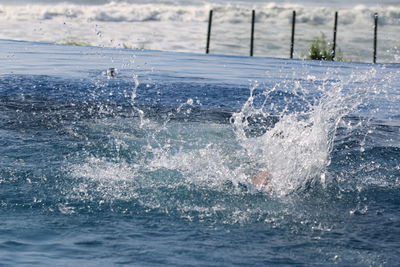 Close-up of swimming in sea