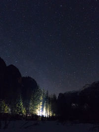 Low angle view of silhouette trees against sky at night