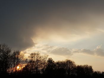 Low angle view of silhouette trees against sky during sunset