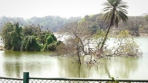 Scenic view of river against clear sky