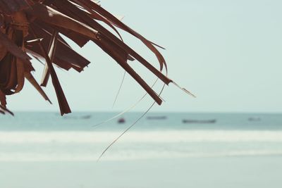 Low angle view of wooden post at beach against sky