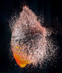 Close-up of water bomb against black background