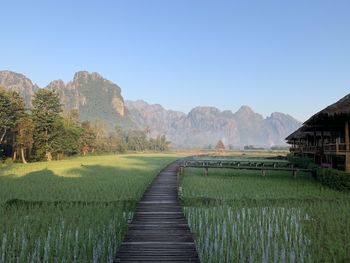 Scenic view of field against clear sky