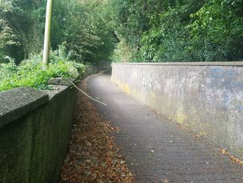 Footpath by retaining wall in park