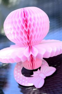 Close-up of pink flower