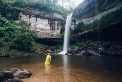 Rear view of person looking at waterfall in forest