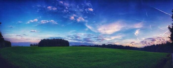 Scenic view of field against blue sky