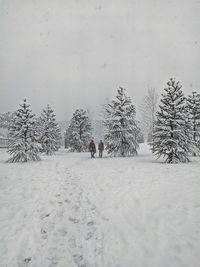 Trees on snow covered field against sky