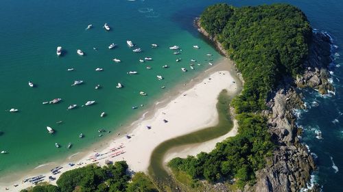 High angle view of trees by sea