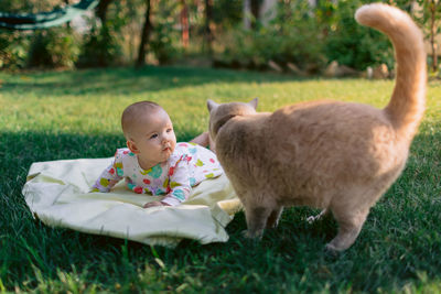 Side view of dog on grassy field