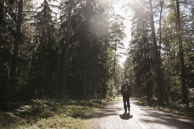 Rear view of man walking on road in forest