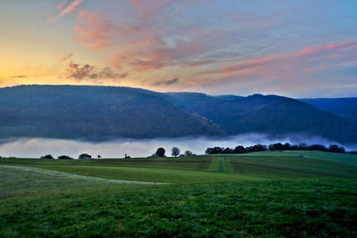 Scenic view of field against sky during sunset
