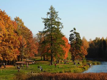 Trees on field against sky during autumn