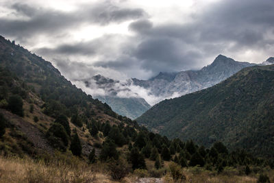 mountain