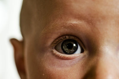 Close-up portrait of baby