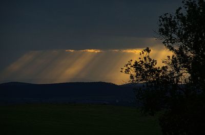 Silhouette trees on field against sky at sunset