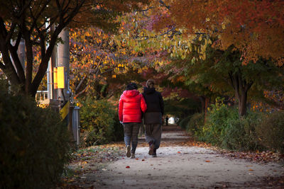 Rear view of friends walking in park during autumn